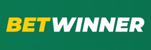 319bet com